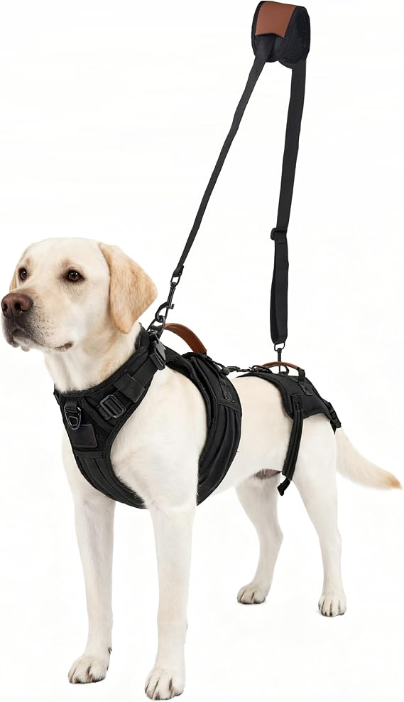 Dog Lift Harness, Full Body Dog Harness with Handle for Lifting, Front/Back Leg Support, Prevent Chafing Pee-Able Design, 2-in-1 Detachable Dog Assist Harness for Senior Disabled Dogs Up to 40lb (M)