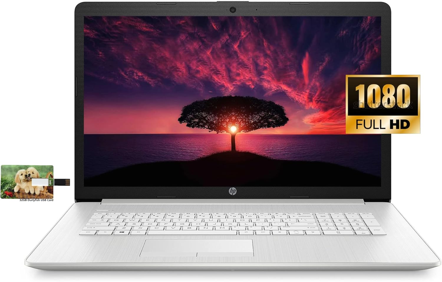 HP 17 Business Laptop Computer, 11th Gen Intel Core i3-1115G4, 17.3 FHD Display, Windows 10 Pro, 16GB RAM, 1TB HDD, WiFi, Bluetooth, Webcam, HDMI, 32GB Durlyfish USB Card