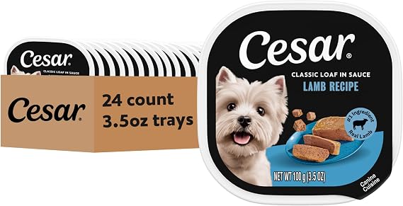 Cesar Classic Loaf in Sauce Wet Dog Food, Lamb Recipe, 3.5 oz, 24 Count