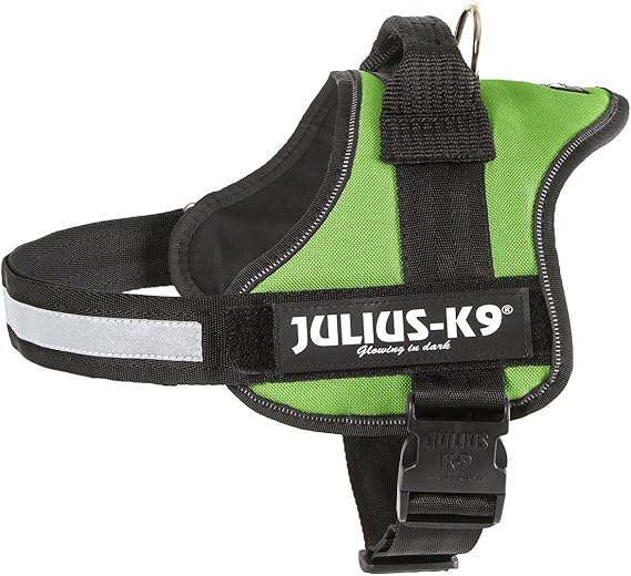 K9 Powerharness, Size: 2, Kiwi