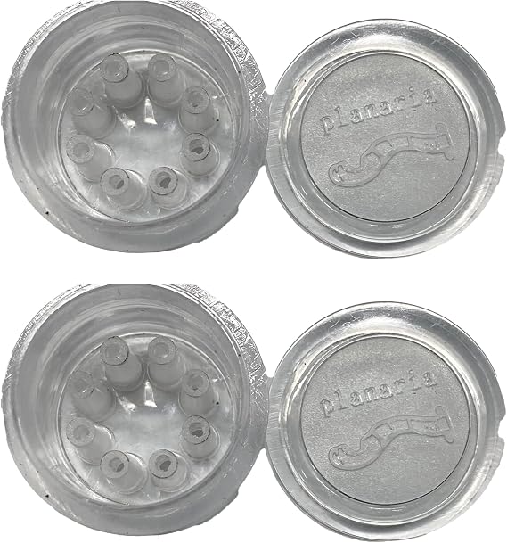 Awesome Aquatic Planaria Trap Hill & Flat Worm Trap Catcher for Shrimp Tank and Aquarium 2 Pack, 8 Holes