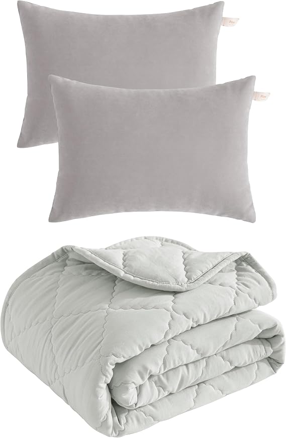 BEDSUM Light Grey 13"x18" Microfiber Pillows 2 Pack and Microfiber Light Grey Toddler Comforter