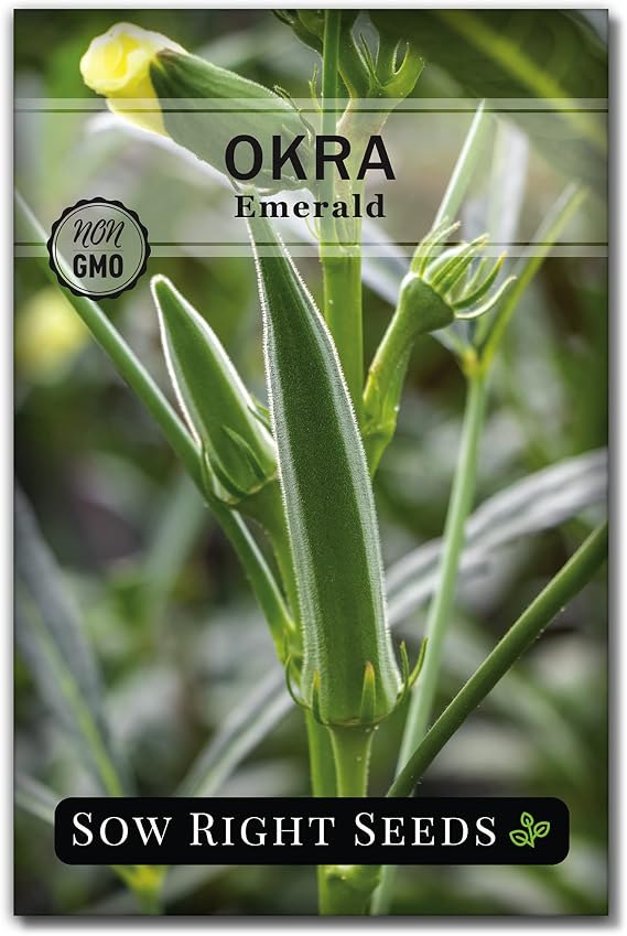 Sow Right Seeds - Emerald Okra Seeds for Planting - Non-GMO Heirloom Packet with Instructions to Plant a Home Vegetable Garden - Classic Green Pods on Tall Stalks - Make Fried Okra (1)