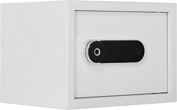 Home Safe Luxury Jewelry Safe with Fingerprint&Keypad Lock, Removable Shelf, Office Hotel High Security for safes, 1.0 Cubic Feet(No fireproof bag, 9.8"H X 13.8"W X 10.8"D)