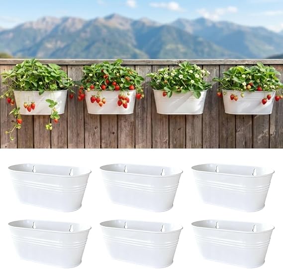 LaLaGreen Hanging Wall Planter (9.8 in, 6 Pack) White Metal Plant Shelf | Hanging wall planter white plant shelf, mounted indoor outdoor wall decor, plant holder balcony deck, macetas pared
