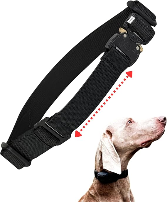 Bungee E-Collar Replacement Strap - Fits Dogtra, Garmin, SportDOG, Educator - Multiple Colours & Sizes (Black, Medium: neck 34-41 cm/ 13-16”)