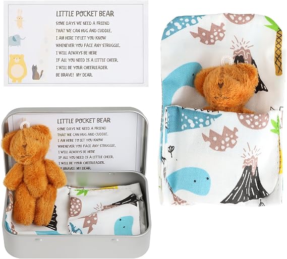 Small Teddy Bear Hug in a Tin Box, Mini Plushie Pocket Hug Token