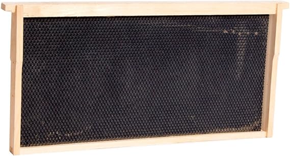 Lehman's Stoney Acres Beekeeping Beehive Frame, Waxed Plastic Foundation, Deep Assembled, Honey Bee Hive, Amish Made