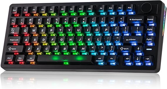 EPOMAKER HE75 V2 Hall Effect Gaming Keyboard, 8K Polling & 0.1ms, 8000mAh | 2.4Ghz/BT, Hot Swap Key & Knob, 0.005mm Adjustable Actuation, Rapid Triggering, Creamy & Thocky (Black)
