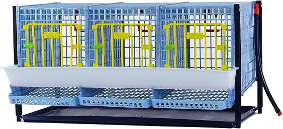 Hatching Time Partridge Cage, Layer Addition, 3 Section, Smart Feeder