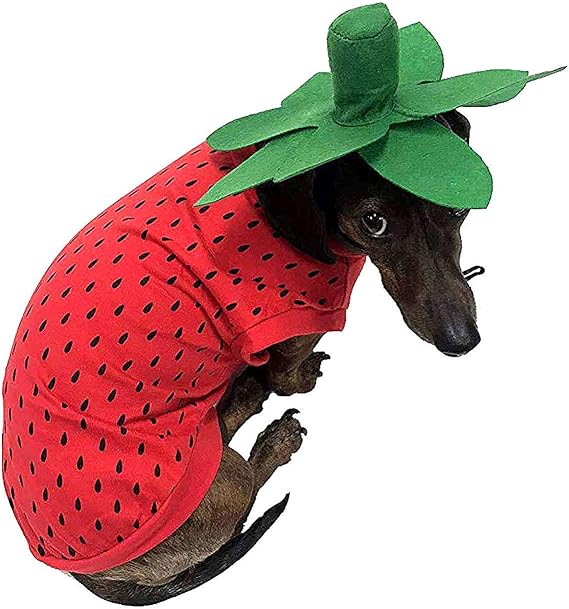 Midlee Strawberry Dog Halloween Costume (Small)