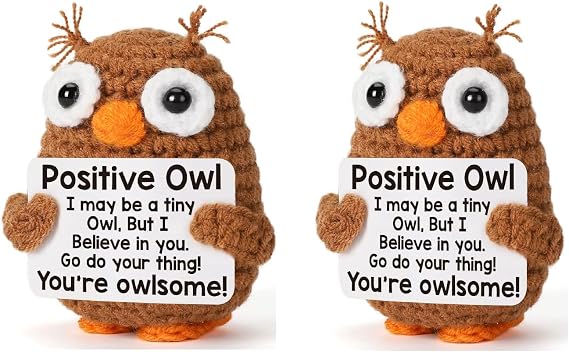 Set of 2 Crochet Owls with Positive Message, Emotional Support (2 Owls)