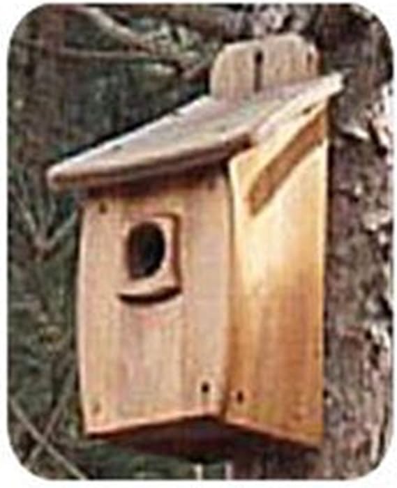 Woodcraft Project Paper Plan to Build Extra Large Birdhouse - Material Not Included