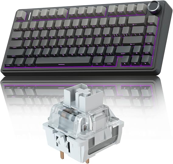 AULA F75 Pro Wireless Mechanical Keyboard,75% Gasket Hot Swappable Custom Keyboard+LEOBOG Graywood V3 Switches Set