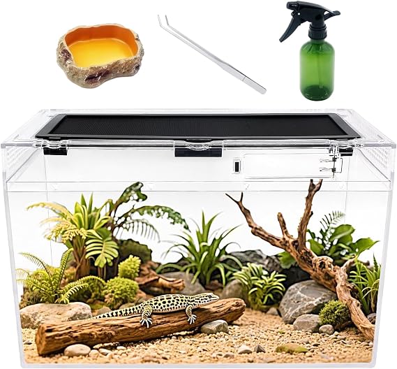 Reptile Growth Reptile Terrarium,16" x 8"x 10" vivarium with Top Sliding Door Screen Ventilation for Small Fish,Insect,Snail,Gecko,Tarantula,Bearded Dragon,Jumping Spider,Stick Insect,Praying Mantis.