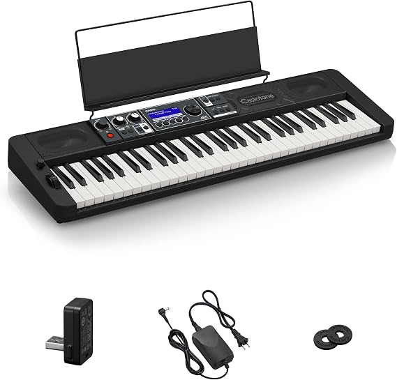 Casio CT-S500 Touch Response keyboard with Multi-track Recording, Black