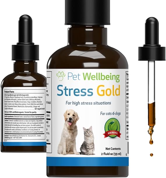 Pet Wellbeing Stress Gold for Cats - Situational Stress Support, 2 oz | NASC Certified & Vet-Formulated Liquid Calm Supplement with Valerian & Skullcap for High Stress, Travel & Vet Visits