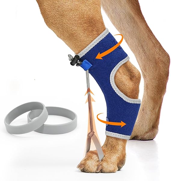 Supet Knuckling Brace Wrap for Dogs, Comfortable Dog Foot & Hock Splint