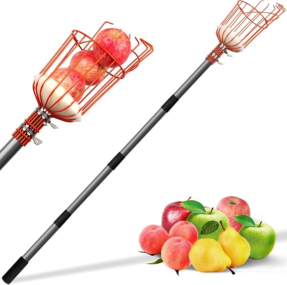 Walensee 5.5FT Fruit Picker with Basket, 35-65 Inch Compact Fruit Picker Pole, Lightweight Cherry Picker Tool for Pear, Mango, Apple, Orange, Lemon, Avocado Harvesting