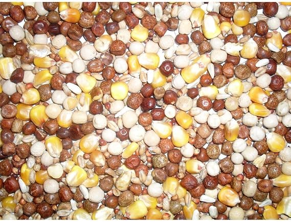 Johnston & Jeff All Rounder Pigeon Corn, 20 kg