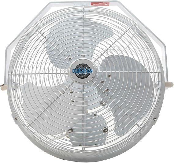 14" Indoor/Outdoor Non-Oscillating Wall Mount Fan - White