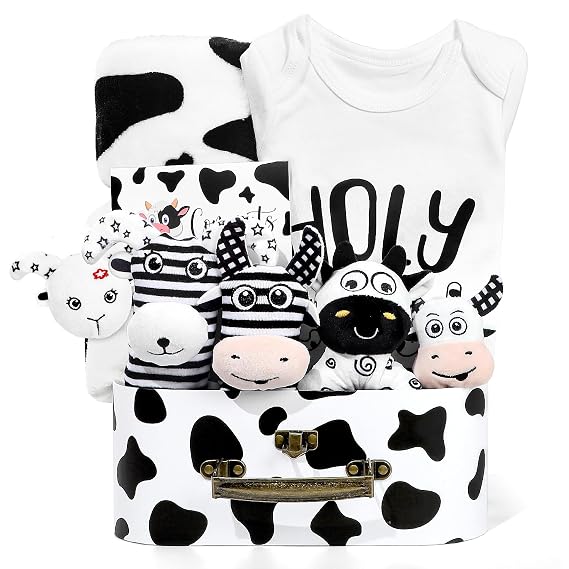 iAOVUEBY Baby Shower Gifts, Baby Gift Set for Newborn, Black and White High Contrast Baby Montessori Toys 0-6 Months Infant Rattle Socks Blanket Onesies, New Baby Gifts Basket for Girls Boys