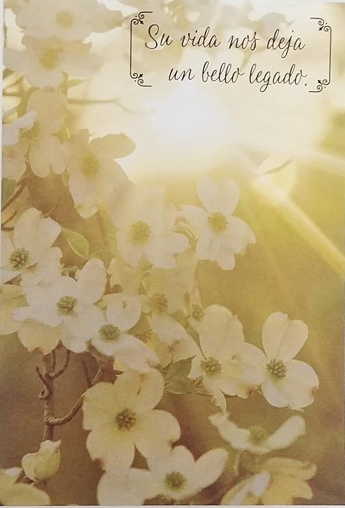 Greeting Card Enviando Deseos De Paz Y Consolacion En Estos Momentos De Dolor - Wishing You Comfort and Solace In Your Time of Grief Sympathy Condolences Death RIP of Loved One in Spanish Espanol