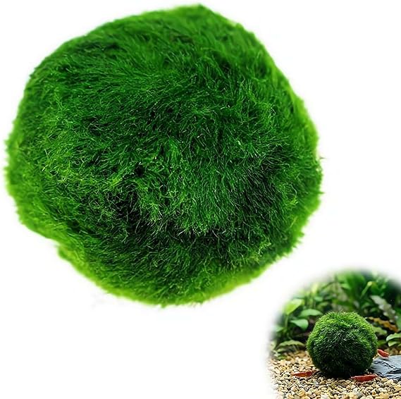 Moss Balls Decorative - Green Moss Balls Decorative, Natural Aquarium Plants Natural Handmade Ball Vase Fillers for Fish Tank Decor & Ecological Bottles (5cm)