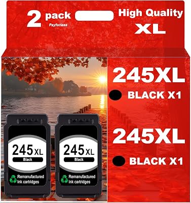 245XL Ink Cartridge Replacement for Canon 245XL Black Ink Compatible with Pixma MX490 MX492 MG2522 MG3022 MG2520 TS3100 TS3122 TS3300 TS3322 TR4522 Printer 2 Pack