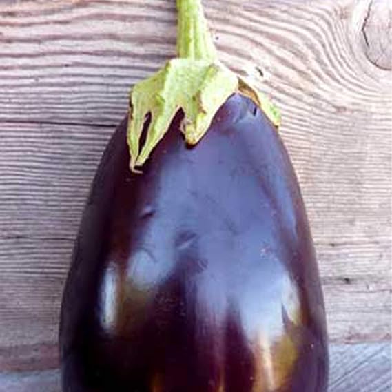 Organic Black Beauty Eggplant - 1 OZ ~6,500 Seeds - Non-GMO, Open Pollinated, Heirloom, Vegetable Gardening Seeds