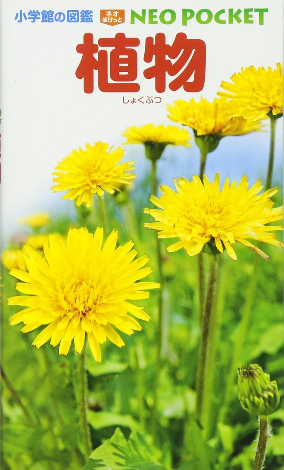 植物 小学館の図鑑 NEOポケット Tankobon Hardcover – June 23, 2010