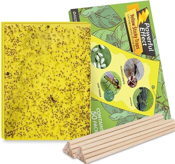 Kensizer 50-Pack Fruit Fly Trap, Yellow Sticky Gnat Traps, 6x8 in