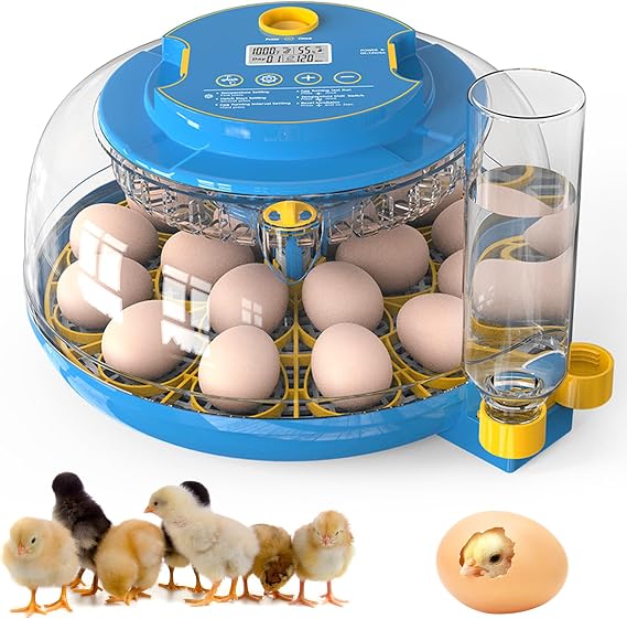 Incubators for Hatching Eggs, 18 Egg Incubator with Automatic Egg Turning and Humidity Control, 360° View Incubadora De Huevos De Gallina, Egg Candler, Incubator for Chicken Eggs, Ducks, Goose, Quail