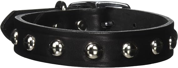 Leather Brothers 100LS-BK20 1 x 20-Inch Regular Studded Latigo Leather Dog Collar, Large, Black
