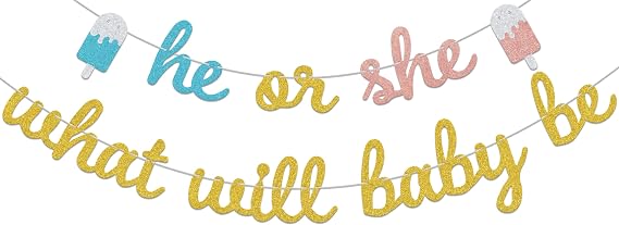 Gold Blue & Rose Gold He Or She What Will Baby Be,Pregnancy Announcement Decorations,Waddle it Be Boy or Girl's,Baby Shower Party Supplies Gender Reveal Party Decor Sign