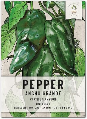Seed Needs Hot Pepper Seeds for Planting Ancho Grande Chile Peppers - Non-GMO Heirloom & Untreated Vegetable Seed to Plant an Outdoor Home Grown Veggie Garden 1 Pack