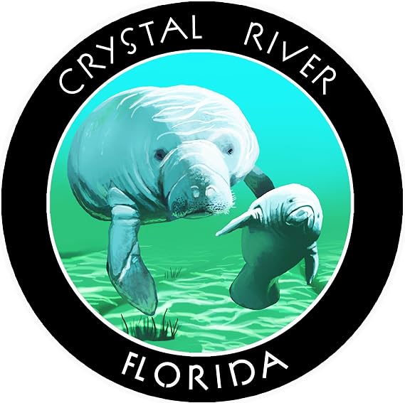 Crystal River, Florida Manatees Decorative Car Truck Window Sticker Decal Vinyl Die-Cut Badge Emblem Vacation Souvenir Travel Gear Ocean Island Beach