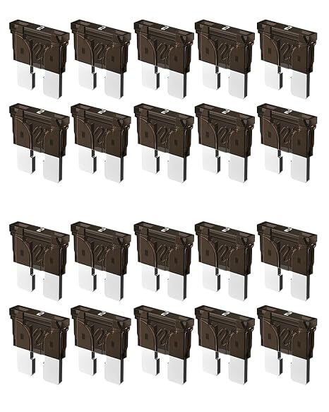 Riseuvo 2 AMP Standard Blade Fuses, 2A Automotive Replacement, 20Pcs | ATC/ATO Fuses, 12V DC low voltage protection, Compatible with Cars, SUV, Truck, RV, Boat