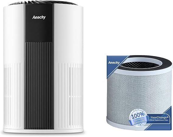 Air Purifier with Extra Filter(One Pre-Instelled Filter and One Extra Filters)