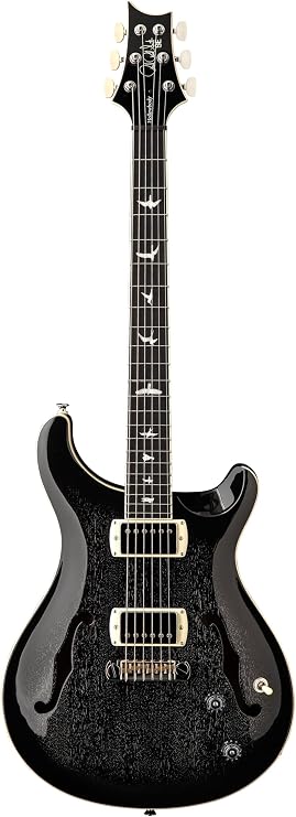 PRS SE Hollowbody Standard, Dog Hair Smokeburst