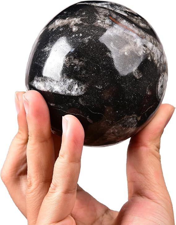 Natural Orthoceras Fossil Sphere for Home Meditation Altar Decor | 3.2-3.6 IN, Desk Paperweight, Entryway Shelf, Smooth Surface, Wooden Stand