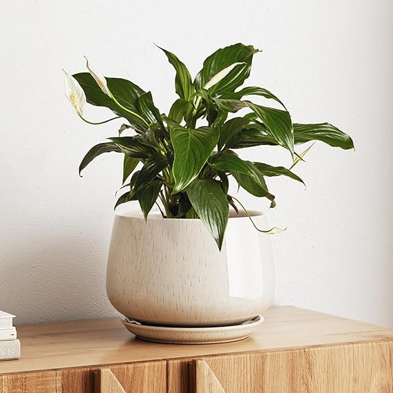 LE TAUCI Ceramic Planter, 10 Inch Plant Pot with Drainage Hole & Saucer Durable Indoor Planter for Modern Home Decor, Reactive Glaze Beige