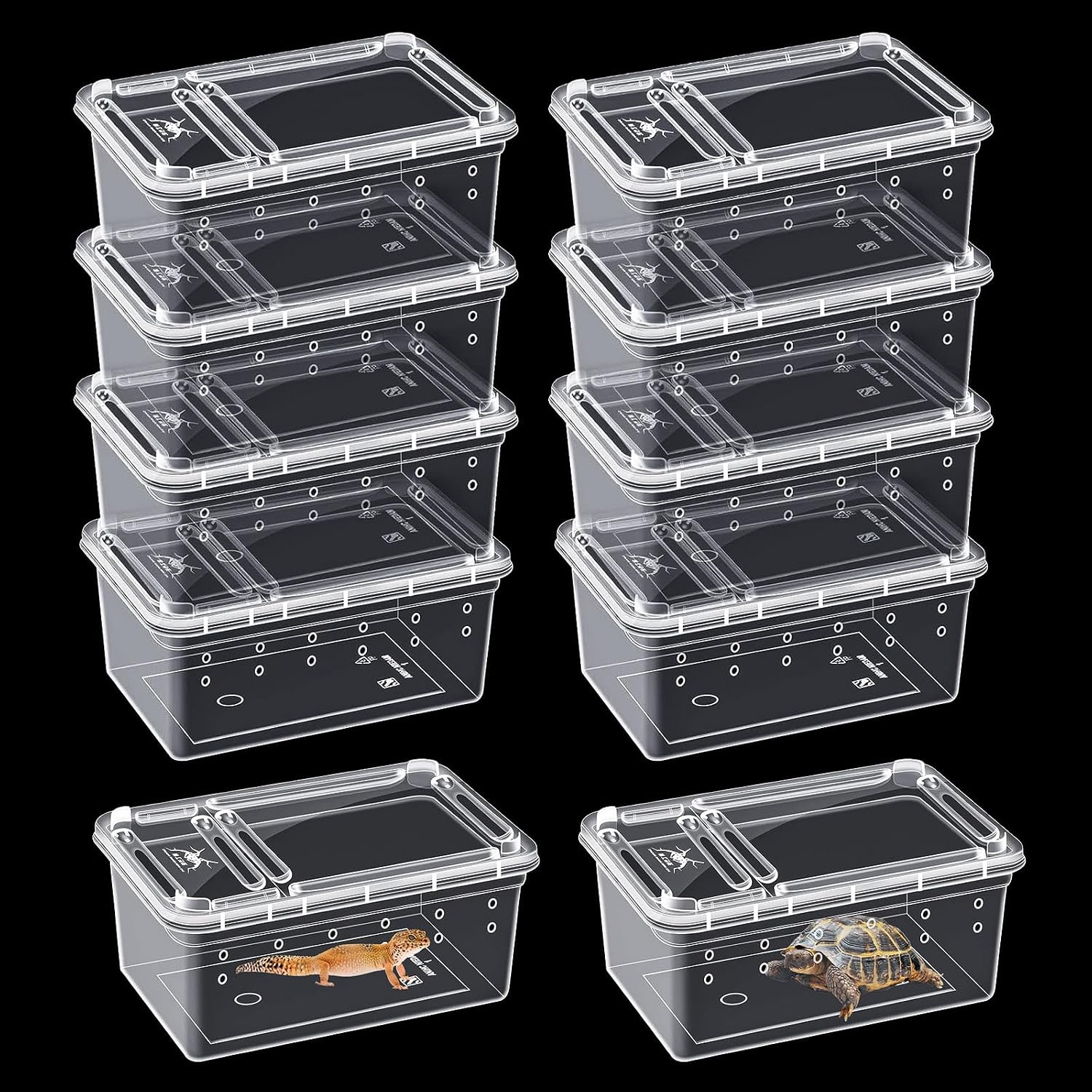 10Pcs Reptile Feeding Box, Transparent Animal Habitat Cage Spider Terrarium, Plastic Breeding Box for Reptile Turtle Spider Frog Scorpion Snake 5 x 10 x 6.5 CM