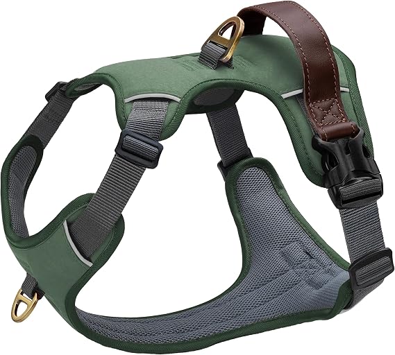 Didog No Pull Dog Harness for Small Dogs, Classic PU Leather, Green, S | Easy Control Handle, No Choke Front Clip, Adjustable & Reflective, 2 Metal Leash Clips for Walking and Training, Chest 19-24"