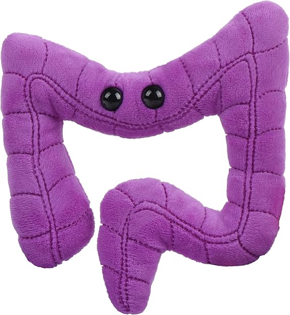 GIANT MICROBES Colon Plush, Gastroenterology Gifts, Organ Plushies