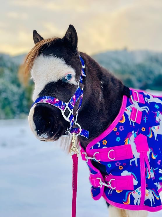Star Point Horsemanship Mini-Pony Galaxy Halter Nylon Horse Training Halter Stiff Cord Adjustable Long Lasting Quick Release Buckle Used by Famous Trainers (Medium 28-32", Under Miniatures)