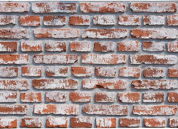 Faux Brick Red Siding Panels, 3D Wall Panel Brick Texture Solid Facing for Living Room, Kitchen, Bathroom, Balcony, Bedroom, Back of Counter 32sq.ft/Box (Red VB, Wash White)