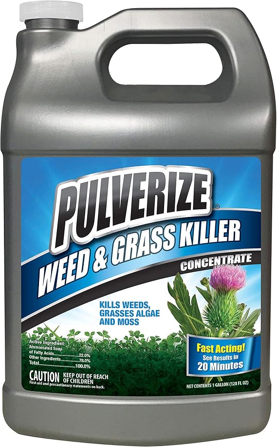 Weed and Grass Killer, All Natural, Fast Acting, Non-Staining, Safe for People and Pets, Herbicide for Moss, Algae, Weeds, and Grass, Concentrate - 1 Gallon