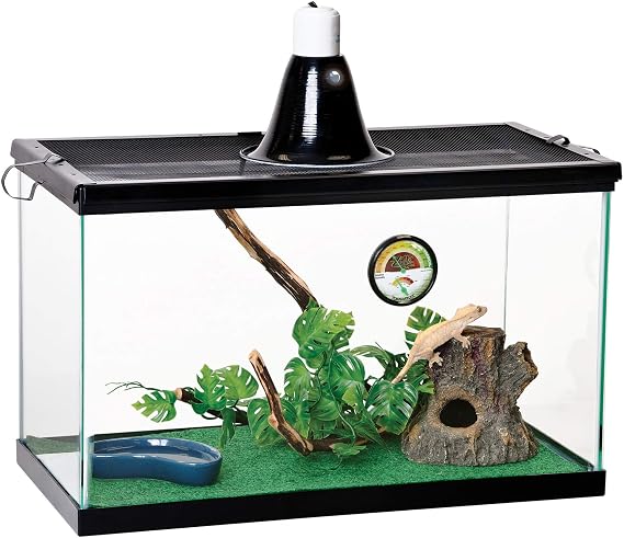 Zilla Tropical Starter Kits, Terrarium Kits for Reptile Terrariums
