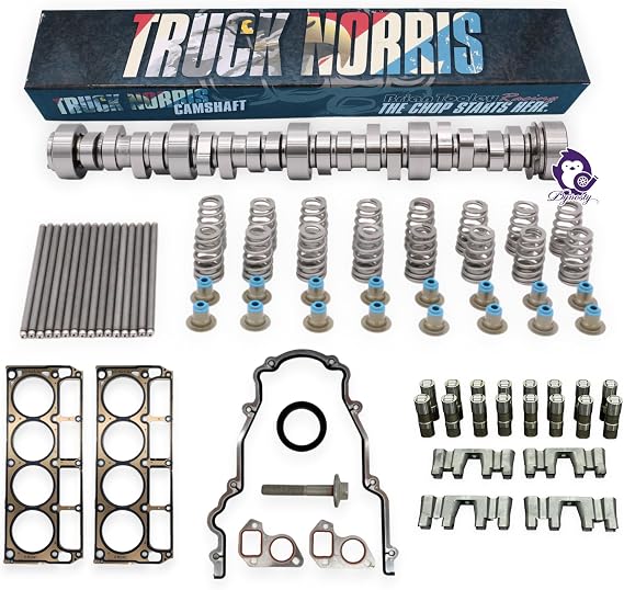 Dynosty BTR TRUCK NORRIS Cam Kit with Pushrods Delphi Lifters, Trays, Head Gaskets LS 4.8 5.3